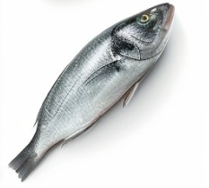 Organic Free Range Eggs